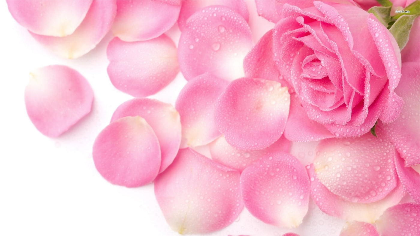 Pink Petals Bath Bomb Aromatherapy Moisturizing Relaxing Soothing Muscle Aches  Calming Mood Lifting Sweet Body