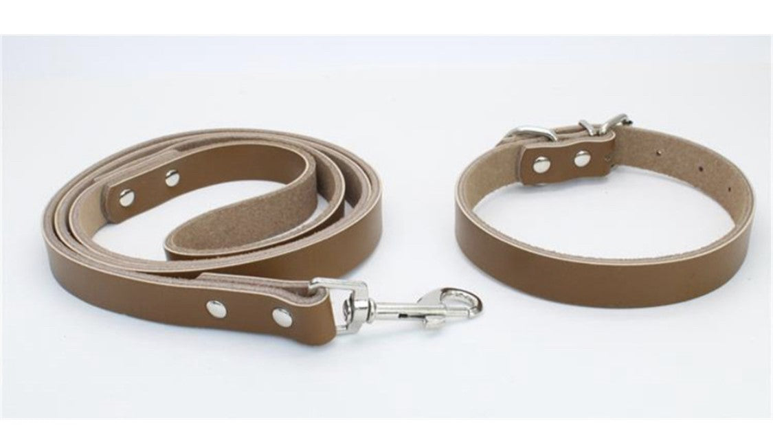 Genuine Leather Collar & Leash Set